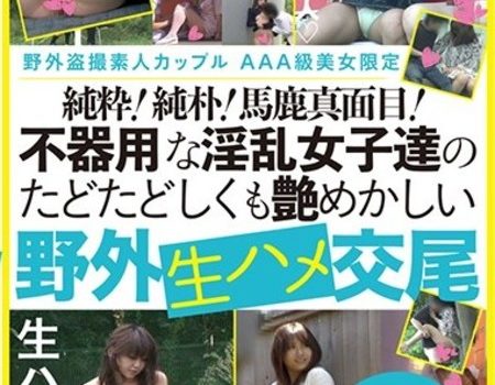 野外盗撮素人カップルAAA級美女限定　純粋！純朴！馬鹿真面目！不器用な淫乱女子達のたどたどしくも艶めかしい野外生ハメ交尾240分9組